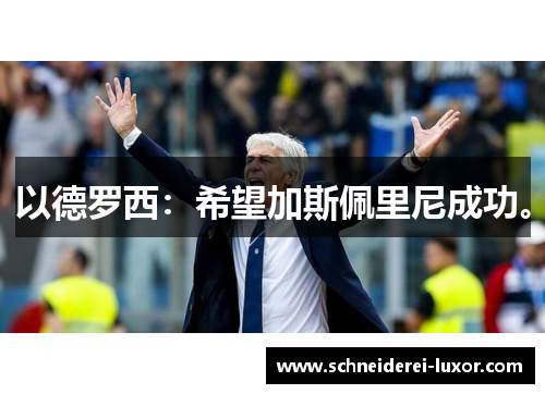 以德罗西：希望加斯佩里尼成功。